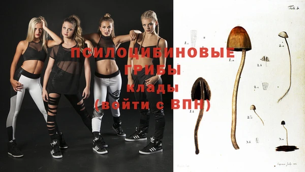 гашиш Каменка