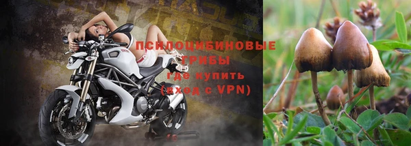 гашиш Каменка