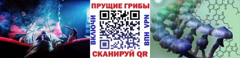 Галлюциногенные грибы мицелий  Лагань 